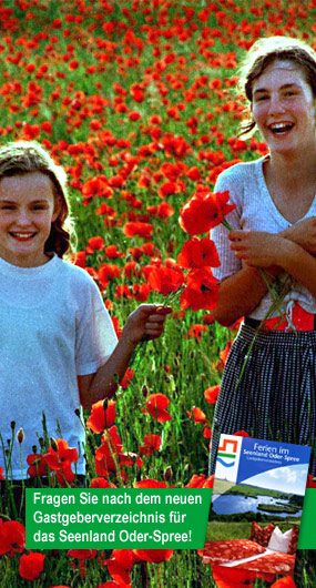 Mohnfeld mit zwei jungen Frauen, die Mohnblumen in der Hand halten und in die Kamera lächeln