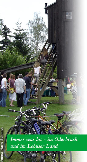 Veranstaltungen Banner links
