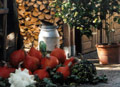 Privatzimmer Weihs Garten